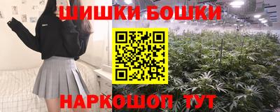 гашик Лесосибирск