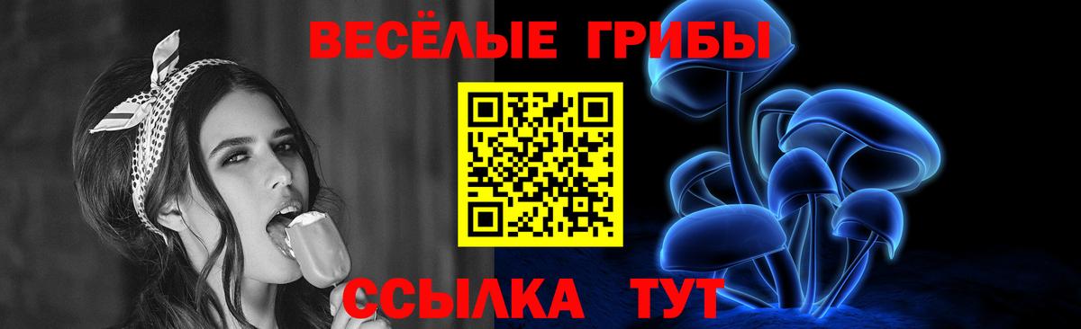 Галлюциногенные грибы MAGIC MUSHROOMS  Вход с VPN  Железноводск 